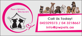 Pwpets.ae